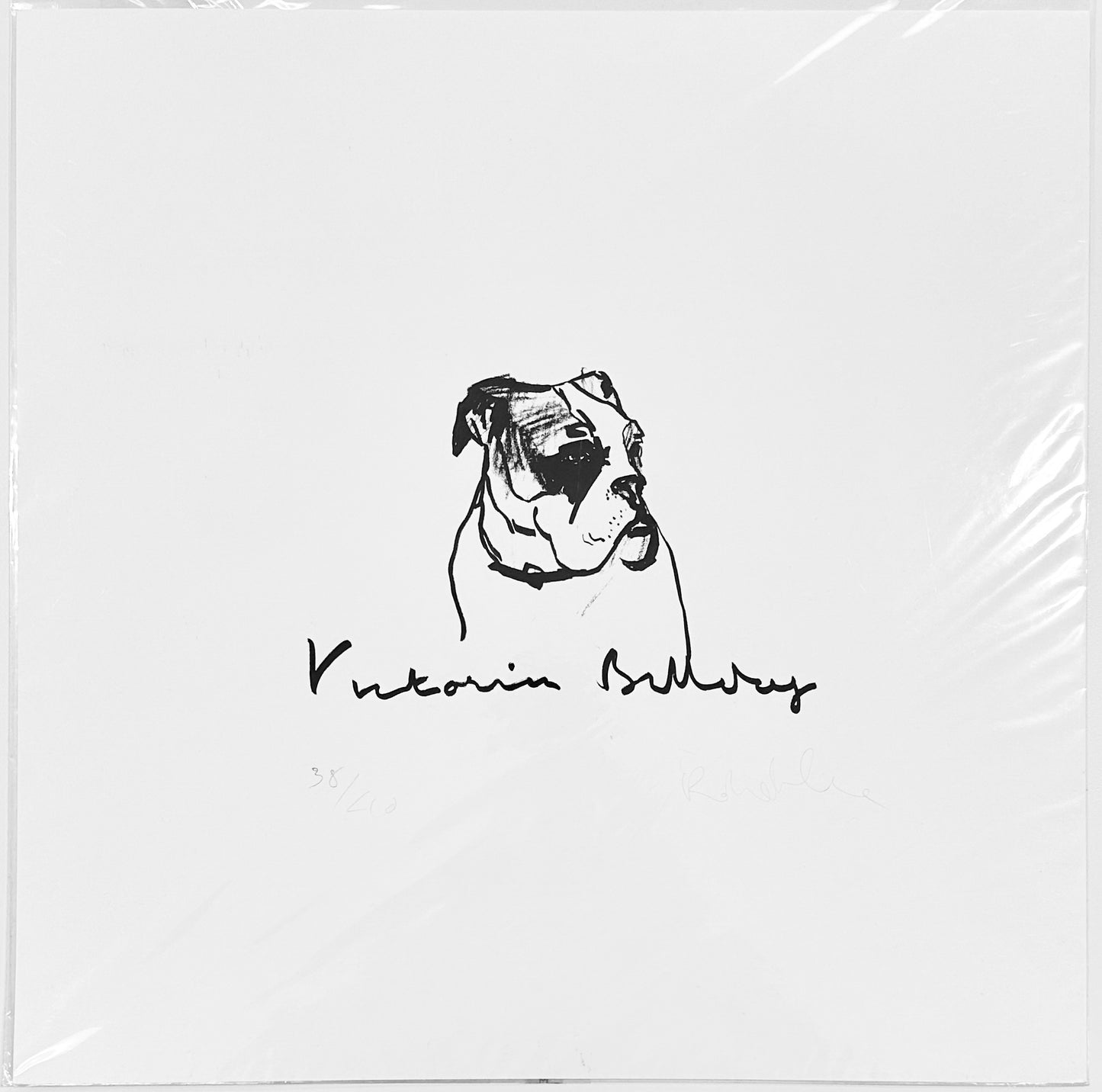 Victorian Bulldog Print by Robert James Clarke