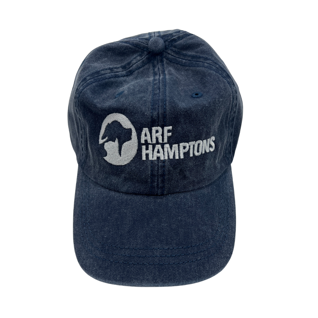 ARF Logo Dad Hat - Navy