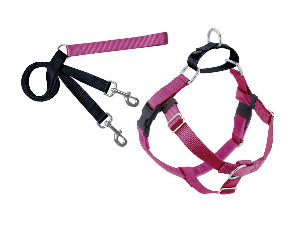 Combo Freedom Harness and Training Leash