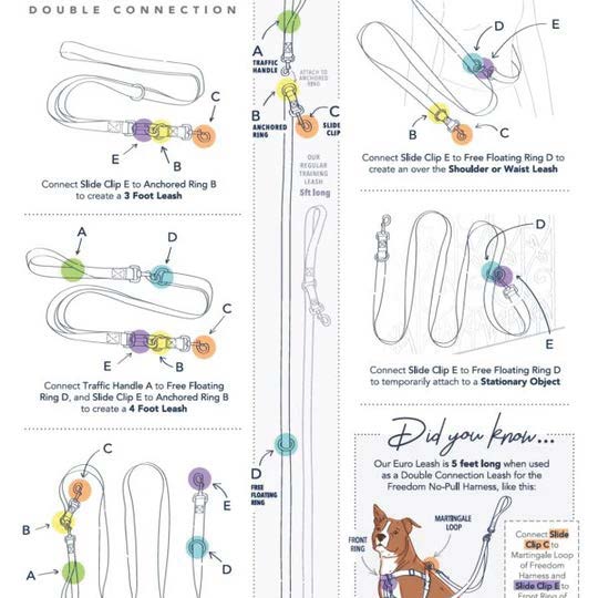 Multi-Function Euro Leash
