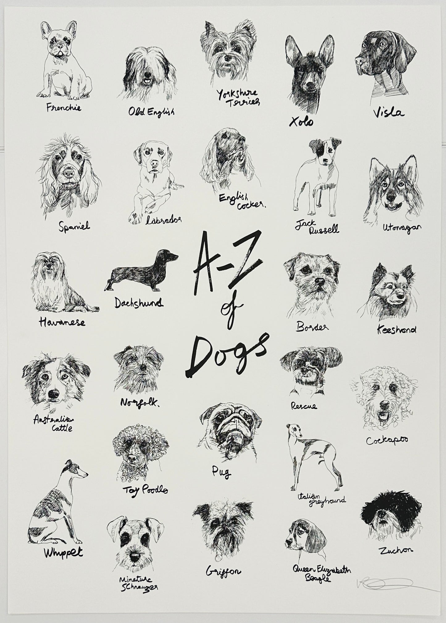 A-Z of Dogs by Robert James Clarke