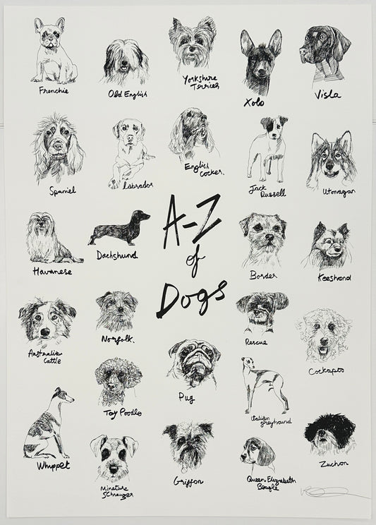 A-Z of Dogs by Robert James Clarke