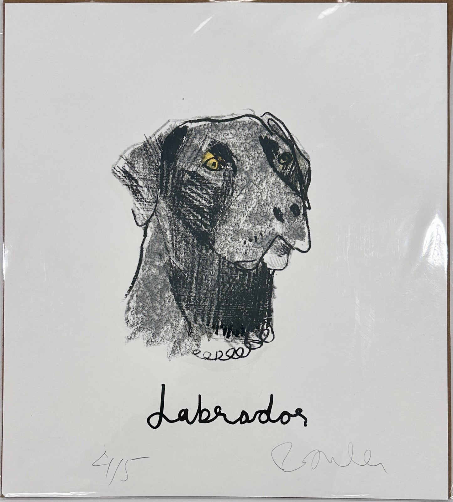 Labrador Print by Robert James Clarke