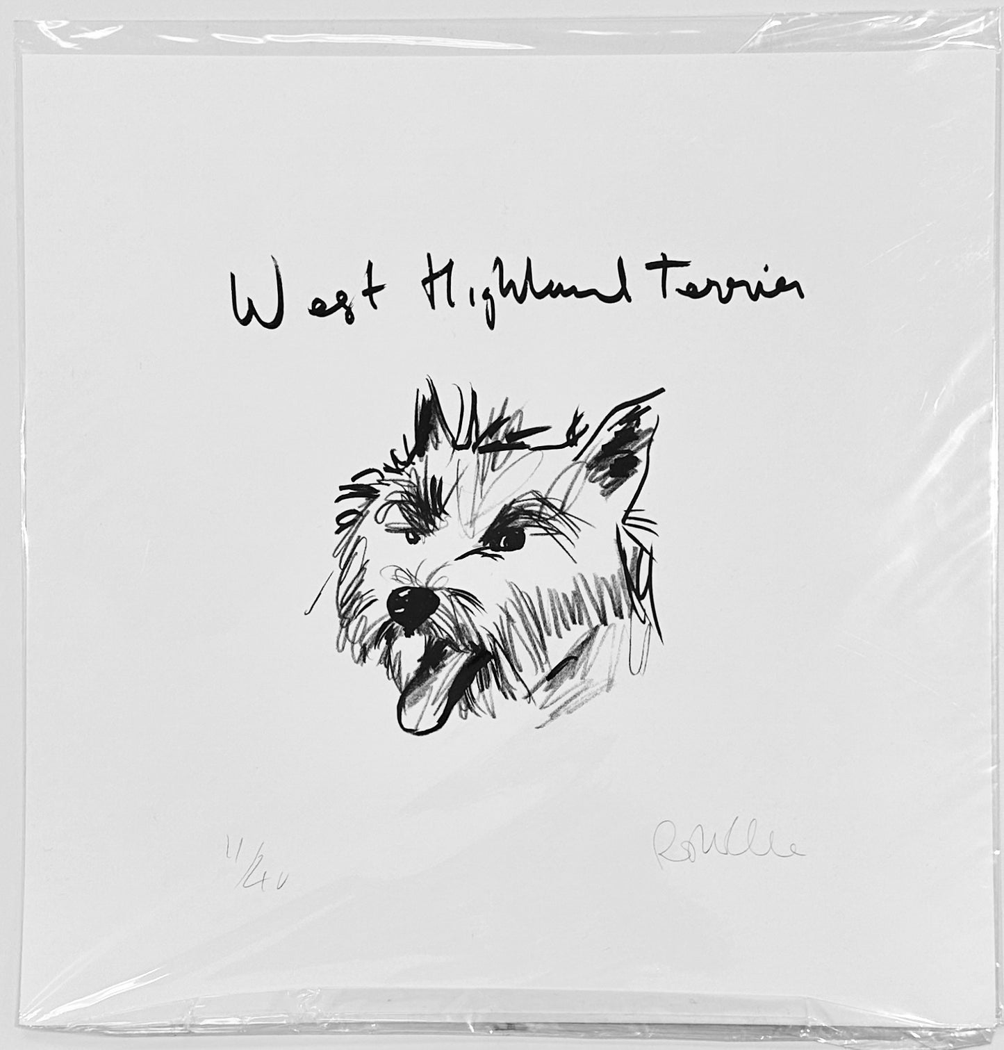 West Highland Terrier Print by Robert James Clarke