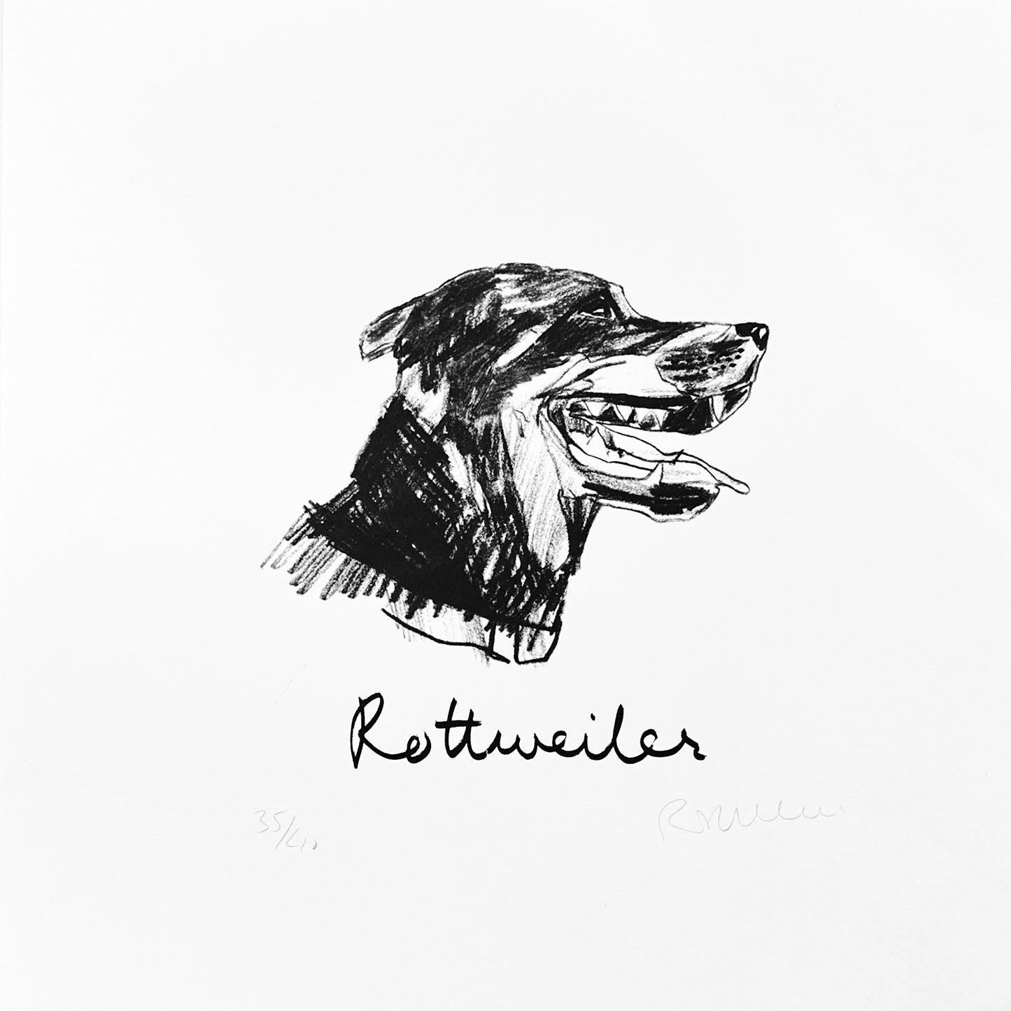 Rottweiler Print by Robert James Clarke