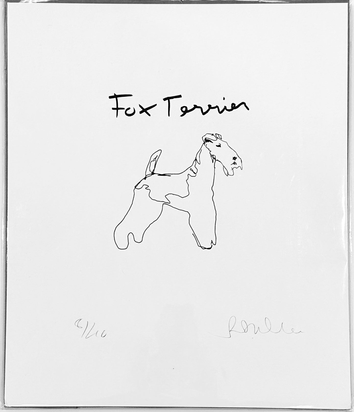 Fox Terrier Print by Robert James Clarke