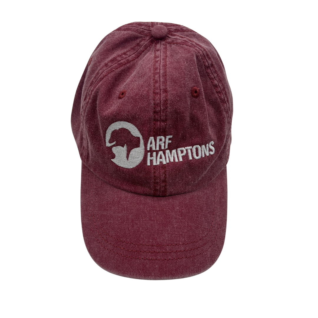 ARF Logo Dad Hat - Cardinal