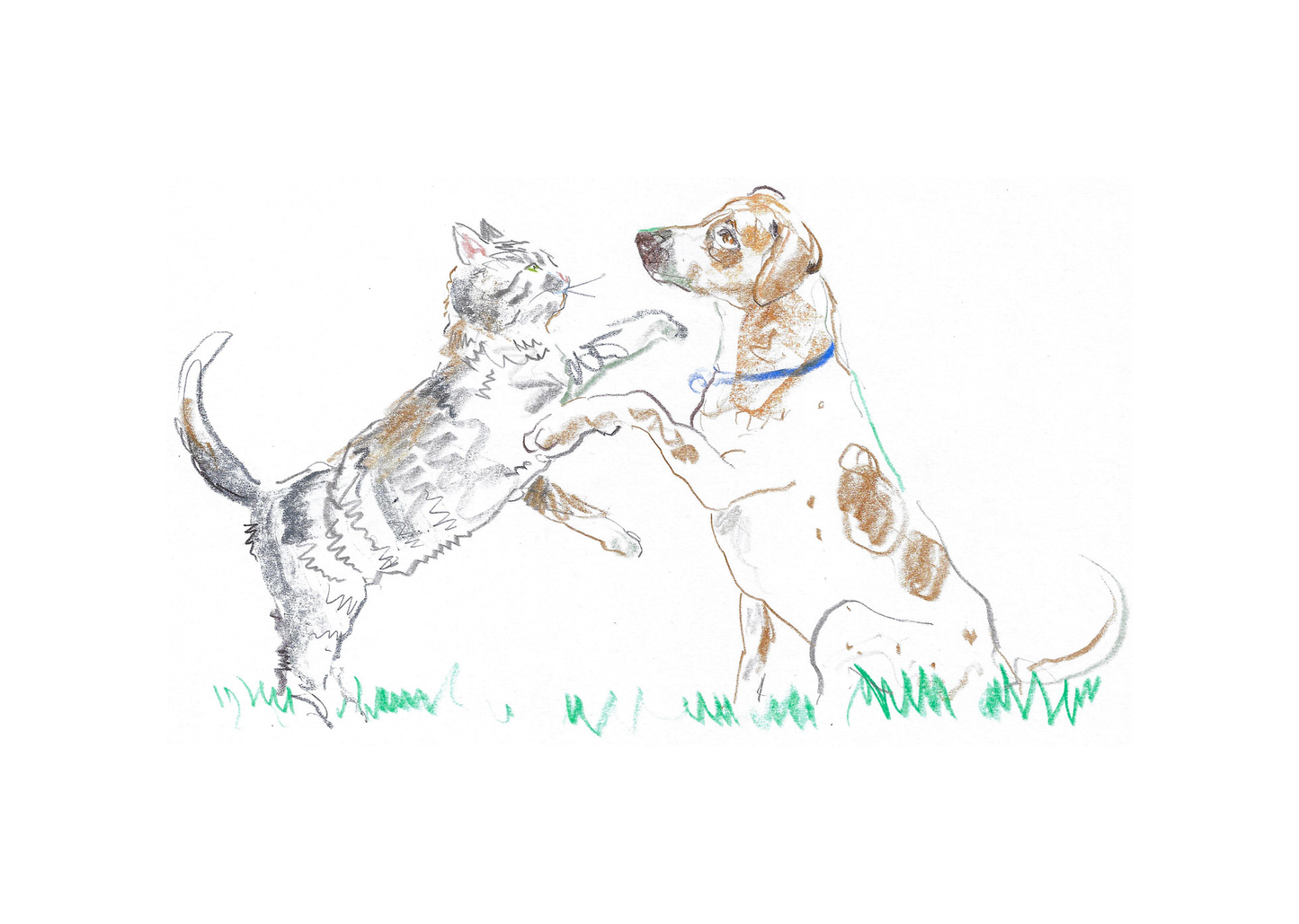 Cat & Dog Boxed Card Set