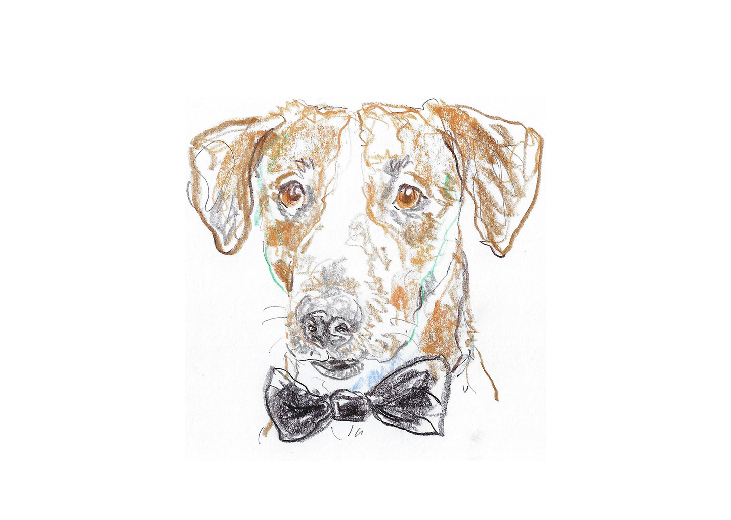 Cat & Dog Boxed Card Set