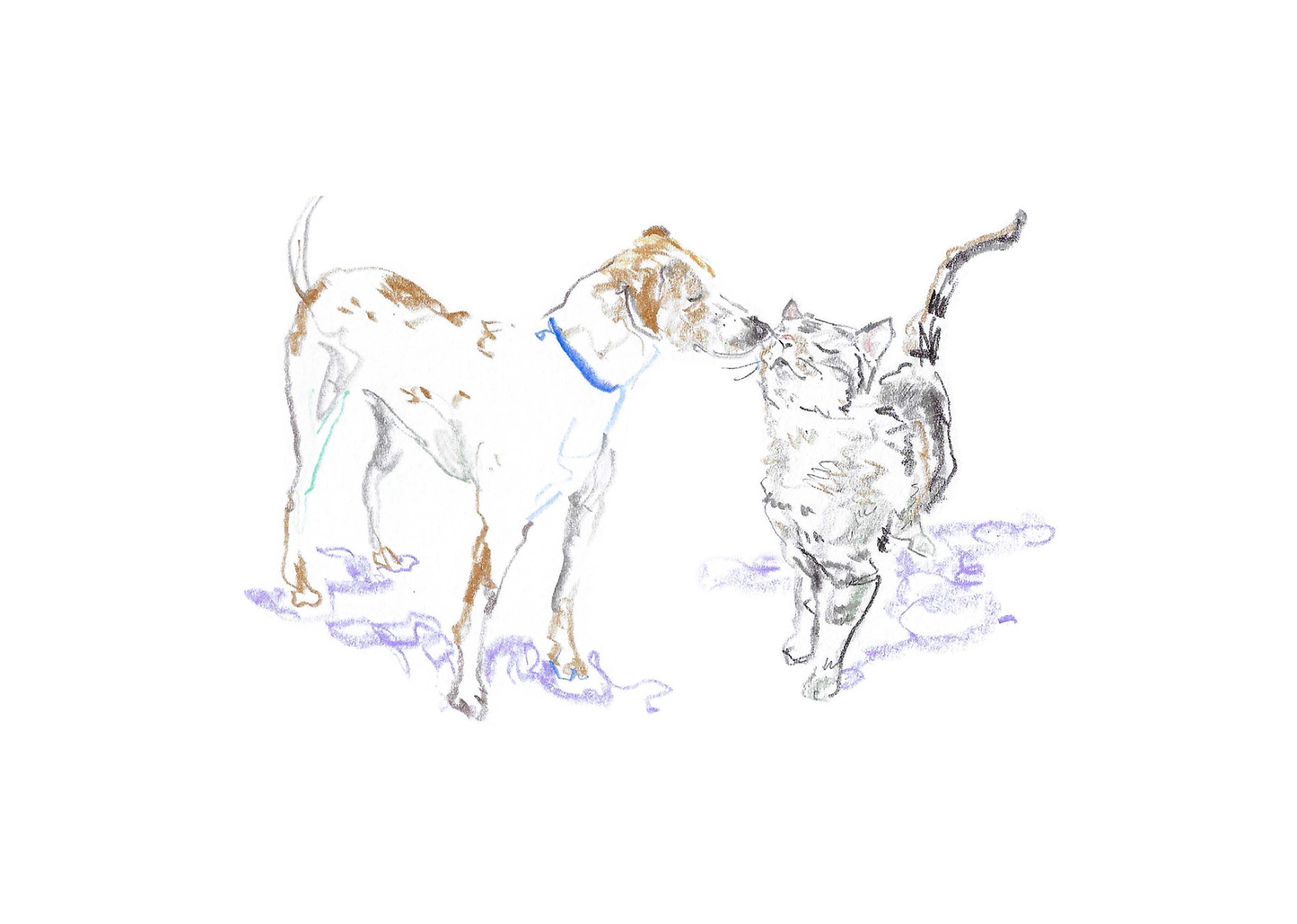 Cat & Dog Boxed Card Set