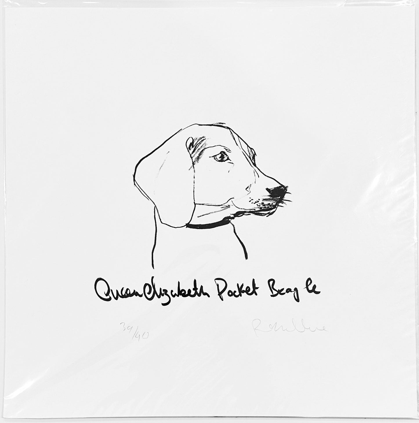 Queen Elizabeth Pocket Beagle Print by Robert James Clarke